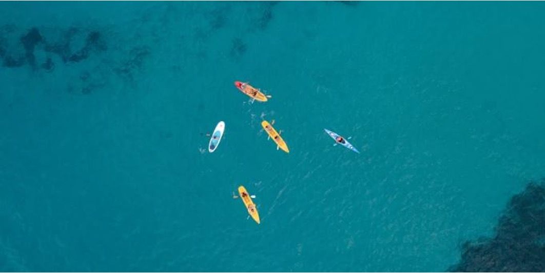 Kayak excursión